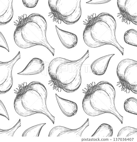 Seamless pattern of garlic. For packaging design, cards, cover, prints, product labels and fabric. Seamless pattern of garlic. For packaging design, cards, cover, prints, product labels and fabric. 137036407
