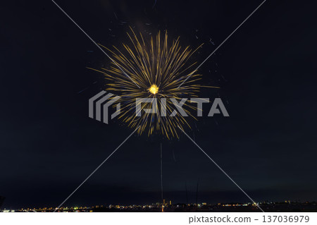 Edogawa Fireworks Festival Kanto Edogawa Fireworks Festival Kanto 137036979