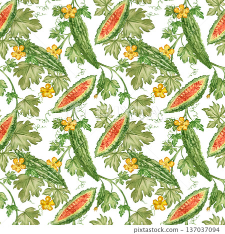A seamless watercolor pattern featuring bitter melon and cucumber. Hand-drawn Momordica charantia with leaves, fruits, and flowers for detox and healthy food products. A seamless watercolor pattern featuring bitter melon and cucumber. Hand-drawn Momordica charantia with leaves, fruits, and flowers for detox and healthy food products. 137037094