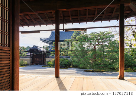 Autumn in Kenninji Temple, Kyoto - Daiyuen Garden in front of the abbot's chamber 137037118
