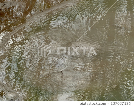 Lake Akan in winter, Bokke Walking Path Forest Lake Akan in winter, Bokke Walking Path Forest 137037125