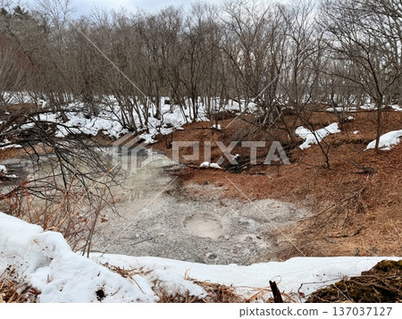Lake Akan in winter, Bokke Walking Path Forest Lake Akan in winter, Bokke Walking Path Forest 137037127