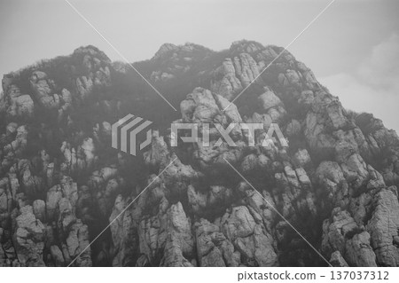 Misty rocky mountain cliffs in black and white Misty rocky mountain cliffs in black and white 137037312
