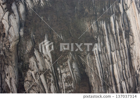 Rugged rock cliff with vertical striations and shrubs Rugged rock cliff with vertical striations and shrubs 137037314