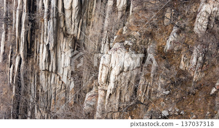 Rugged stratified rock cliff with leafless shrubs 137037318