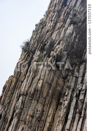 Rugged vertical rock cliff with columnar formations Rugged vertical rock cliff with columnar formations 137037319