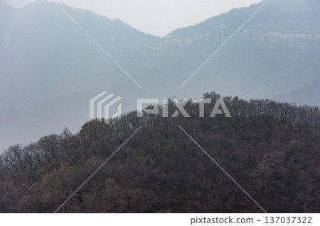 Misty layered mountain ridges behind wooded hill Misty layered mountain ridges behind wooded hill 137037322