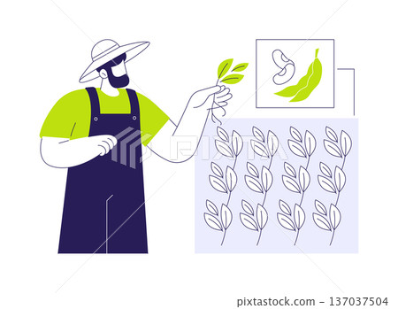 Soybean crops abstract concept vector illustration. 137037504