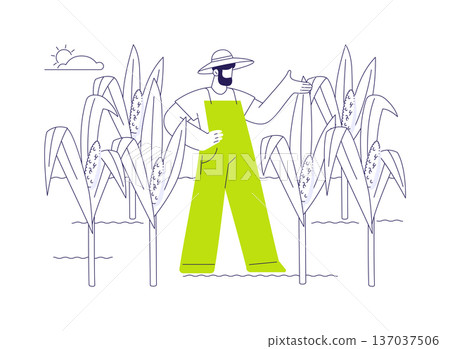 Corn production abstract concept vector illustration. Corn production abstract concept vector illustration. 137037506