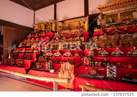 Spring Hinamatsuri at Futagawajuku Honjin Museum (Toyohashi City, Aichi Prefecture) Spring Hinamatsuri at Futagawajuku Honjin Museum (Toyohashi City, Aichi Prefecture) 137037525