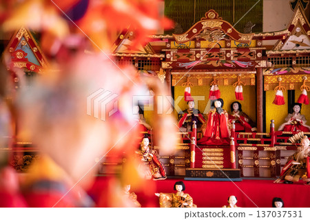 Spring Hinamatsuri at Futagawajuku Honjin Museum (Toyohashi City, Aichi Prefecture) Spring Hinamatsuri at Futagawajuku Honjin Museum (Toyohashi City, Aichi Prefecture) 137037531
