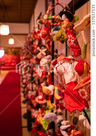 春天的女兒節二川宿本陣博物館(愛知縣豐橋市) 春天的女兒節二川宿本陣博物館(愛知縣豐橋市) 137037535