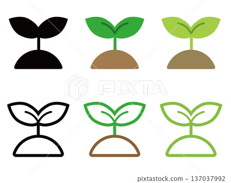 簡單的嫩芽插圖集 137037992