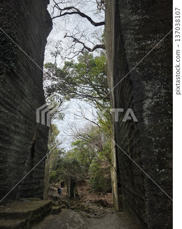The remains of a huge quarry and cut-through at Mt. Nokogiri (Chiba Prefecture) 137038107