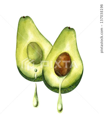Two avocado half with drop of oil leaking out, with bone and with pulp. Concept of oil extraction, cold press, superfoods. Isolated clipart. For oil packaging design, skincare, vegan product Two avocado half with drop of oil leaking out, with bone and with pulp. Concept of oil extraction, cold press, superfoods. Isolated clipart. For oil packaging design, skincare, vegan product 137038196