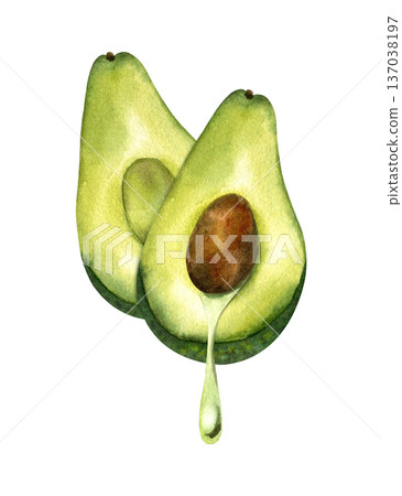 Watercolor illustration of two avocado half with drop of oil leaking out. Concept of oil extraction, cold press, superfoods. Isolated clipart. For oil packaging design, skincare, vegan product Watercolor illustration of two avocado half with drop of oil leaking out. Concept of oil extraction, cold press, superfoods. Isolated clipart. For oil packaging design, skincare, vegan product 137038197