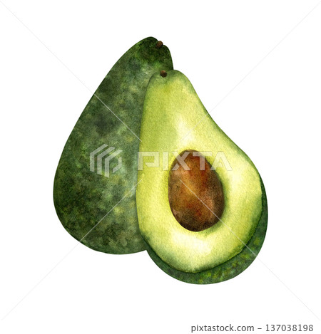Two avocado whole and half with pit. Fresh organic fruit, Superfood. Isolated hand drawn watercolor illustration. For menu design, product packaging, healthy eating, keto diet, healthy lifestyle 137038198