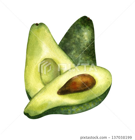 Watercolor composition avocado whole and half with pit and pulp. Fresh fruit, Superfood. Isolated illustration. For menu design, product packaging, healthy eating, keto diet, healthy lifestyle 137038199