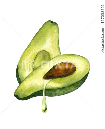 Watercolor illustration of two avocado half with drop of oil leaking out, side view. Concept of oil extraction, cold press, superfoods. Isolated clipart. For oil packaging design, skincare product Watercolor illustration of two avocado half with drop of oil leaking out, side view. Concept of oil extraction, cold press, superfoods. Isolated clipart. For oil packaging design, skincare product 137038201
