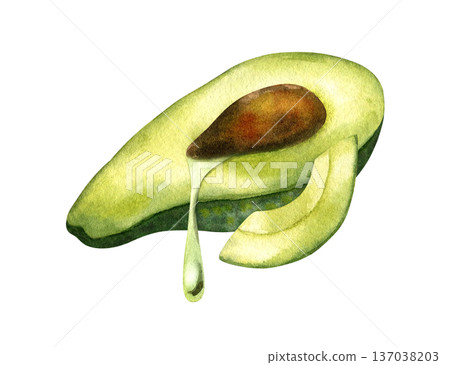 Avocado half with drop of oil leaking out and slice, lying horizontally, side view. Concept of oil extraction, cold press, superfoods. Watercolor isolated illustration. For vegan packaging design Avocado half with drop of oil leaking out and slice, lying horizontally, side view. Concept of oil extraction, cold press, superfoods. Watercolor isolated illustration. For vegan packaging design 137038203