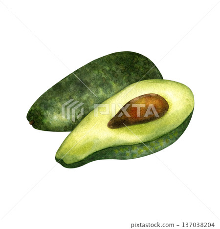 Watercolor composition with half and whole avocado with brown pit, side view. Fresh, green organic fruits. Cut lengthwise. For healthy food concept, packaging, vegetarian content. Isolated clipart 137038204