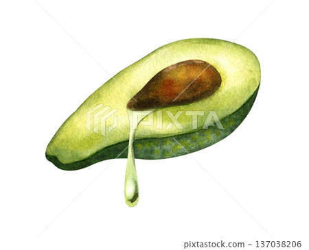 Avocado half with drop of oil leaking out, Top and side views, lying horizontally. Concept of oil extraction, cold press, superfoods. Watercolor isolated illustration. For vegan packaging design 137038206