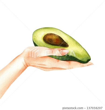 Hand holding an cut lengthwise avocado. Watercolor isolated illustration. Concept of mindful consumption, organic products, healthy lifestyle. For farmers' market, eco-habit, proper nutrition, adds 137038207