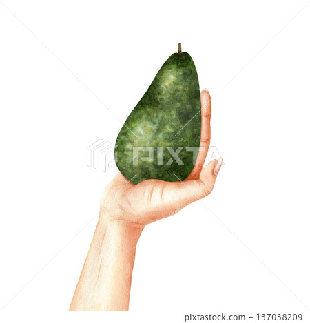Whole avocado fruit in hand. Watercolor isolated realistic illustration. Concept of mindful consumption, organic products, healthy lifestyle. For farmers' market, eco-habit, proper nutrition Whole avocado fruit in hand. Watercolor isolated realistic illustration. Concept of mindful consumption, organic products, healthy lifestyle. For farmers' market, eco-habit, proper nutrition 137038209