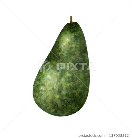 Single whole avocado fruit with bumpy skin texture. Organic fruit, superfood. Detailed watercolor hand drawn illustration isolated from background. Check my portfolio for the matching sliced version 137038212