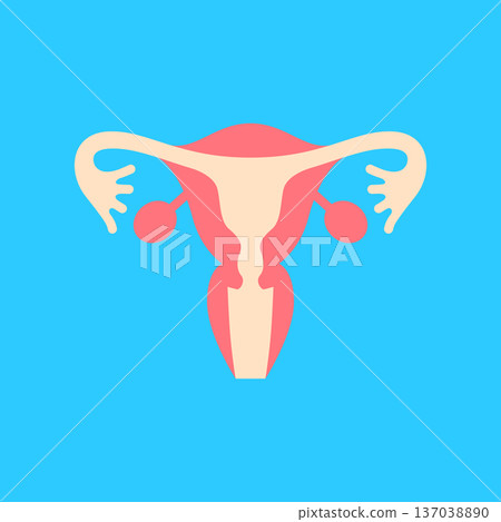 female reproductive system icon 137038890