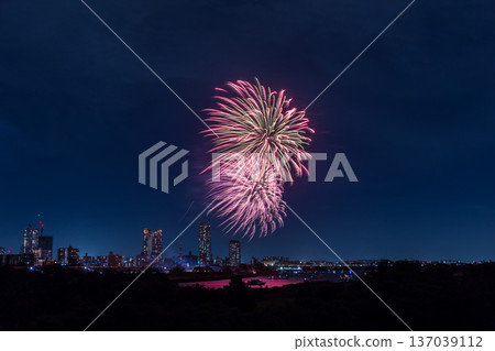 川口花火大會埼玉縣 137039112