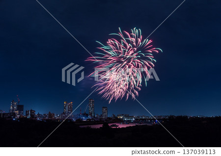川口花火大會埼玉縣 137039113
