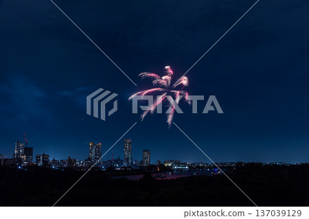 川口花火大會埼玉縣 137039129