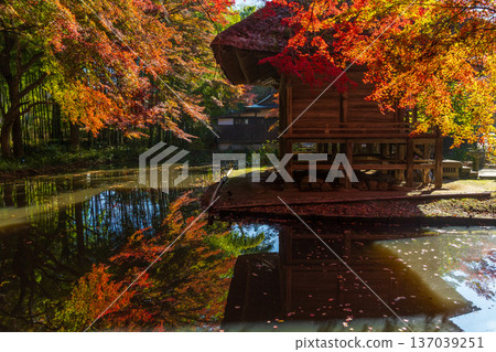 Hiraizumi, Iwate Prefecture in autumn: Chusonji Temple, a World Heritage Site with autumn foliage, and Benzaiten Hall Hiraizumi, Iwate Prefecture in autumn: Chusonji Temple, a World Heritage Site with autumn foliage, and Benzaiten Hall 137039251