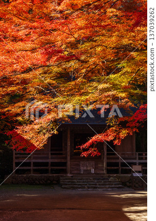 Hiraizumi, Iwate Prefecture in autumn - Chusonji Temple Sutra Hall, a World Heritage Site with autumn foliage Hiraizumi, Iwate Prefecture in autumn - Chusonji Temple Sutra Hall, a World Heritage Site with autumn foliage 137039262