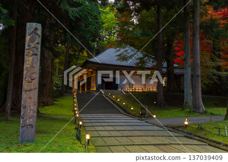 Autumn in Hiraizumi, Iwate Prefecture. World Heritage Site Chusonji Temple, illuminated at night as "Momiji Galaxy" and the Golden Hall. Autumn in Hiraizumi, Iwate Prefecture. World Heritage Site Chusonji Temple, illuminated at night as "Momiji Galaxy" and the Golden Hall. 137039409