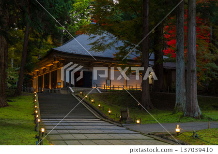 Autumn in Hiraizumi, Iwate Prefecture. World Heritage Site Chusonji Temple, illuminated at night as "Momiji Galaxy" and the Golden Hall. 137039410