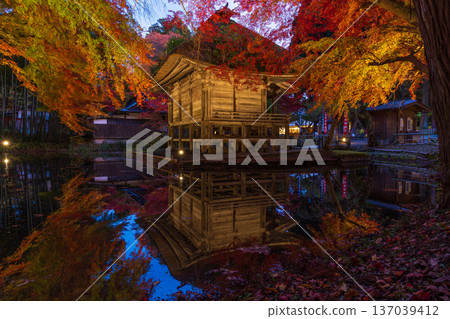 Autumn in Hiraizumi, Iwate Prefecture. World Heritage Site Chusonji Temple, illuminated at night as "Autumn Leaves Galaxy." Benzaiten Hall 137039412