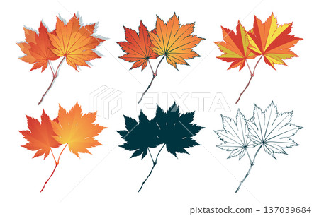 Set of red-yellow colored autumn maple leaves isolated on white background. Flat and line styles vector illustrations 137039684