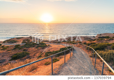 Sunset pathway to Blanche Point Cove beach, Fleurieu Peninsula, South Australia 137039794