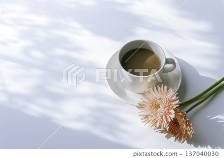 Coffee and pink gerberas in the morning light (copy space) 137040030