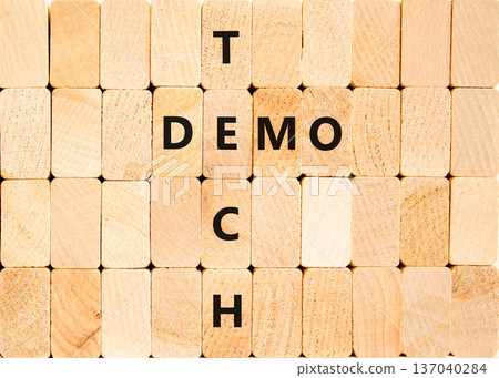 Tech demo symbol. Concept word Tech demo on beautiful wooden block wall. Beautiful wooden block wall background. Wooden blocks. Business tech demo concept. Copy space. 137040284