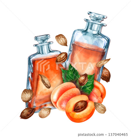 Watercolor illustration of apricot botanical oil in vintage glass apothecary bottles with fresh ripe fruit and scattered kernels isolated on white background for cosmetic branding, skincare packaging 137040465