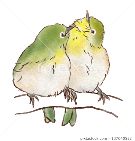 Friendly White-eye (ink pen watercolor style) Friendly White-eye (ink pen watercolor style) 137040552