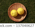 籃子裡的黃橘（遙） 137040627