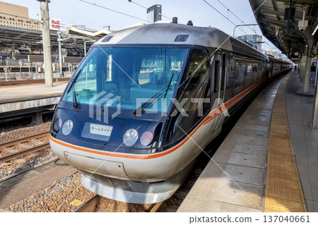 383系列Homeliner Mizunami列車停靠在名古屋站 383系列Homeliner Mizunami列車停靠在名古屋站 137040661