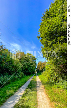 Leafy country lane winding into peaceful pastoral surroundings 137040760