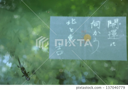 Izumo Yaigaki神社鏡子池塘 Izumo Yaigaki神社鏡子池塘 137040779