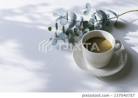 晨光、咖啡和尤加利樹枝（白色背景，留白） 137040787