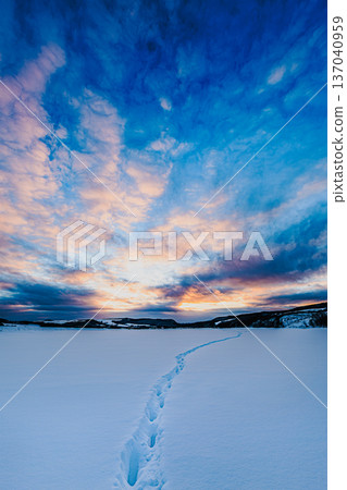 冬日的寂靜，雪地上的腳印，黃昏時分變幻莫測的雲彩 | 日落時分的雪地腳印 137040959